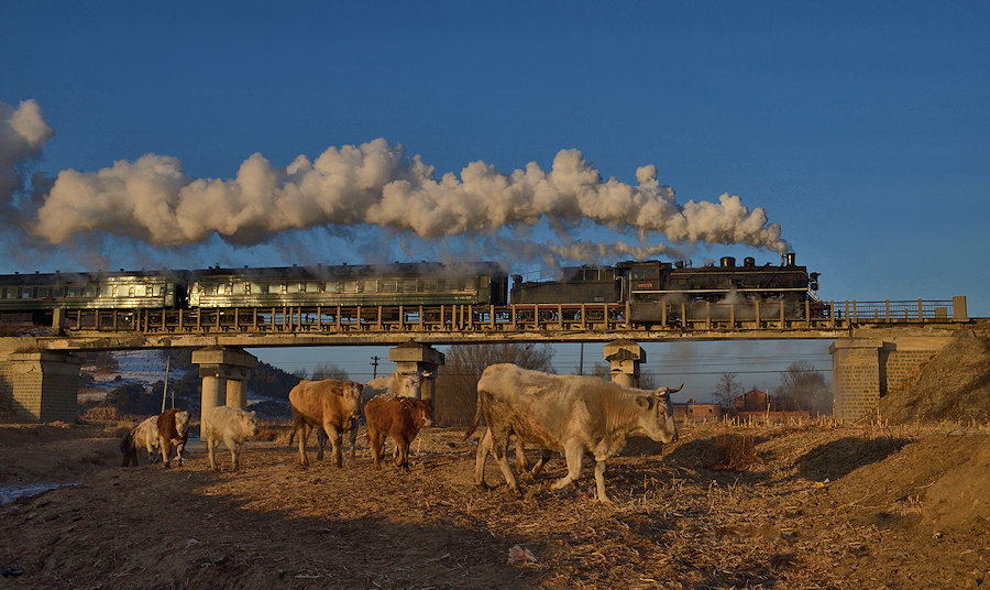 SY1771 Tiefa Dampflok Tanago Eisenbahnreisen