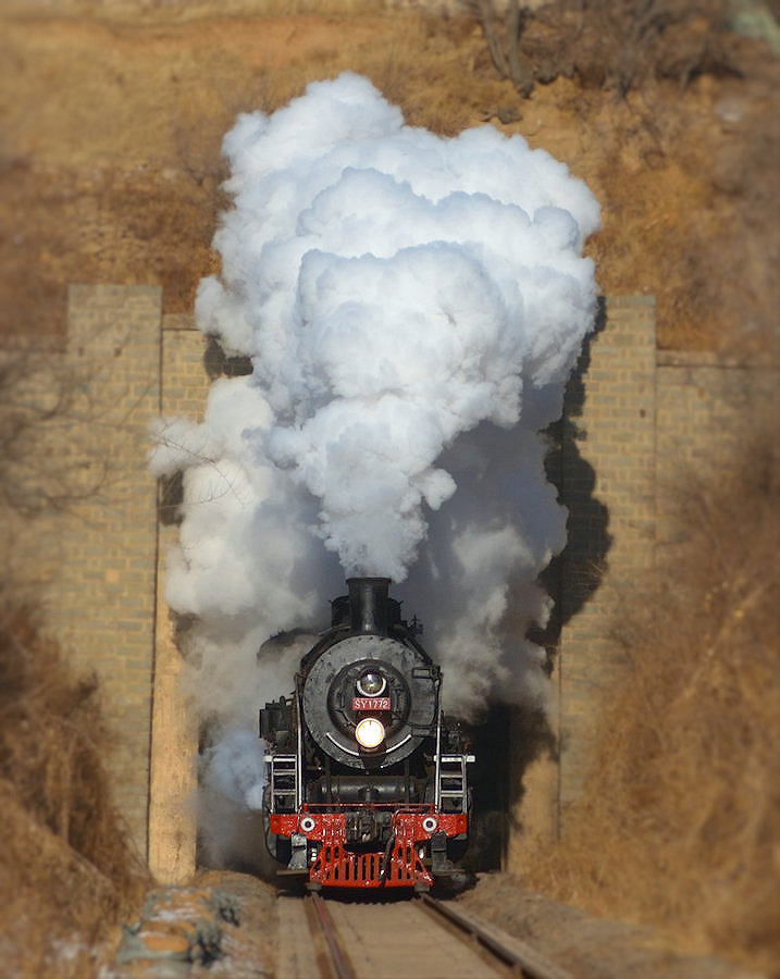 SY1772 Tiefa Dampflok Tanago Eisenbahnreisen