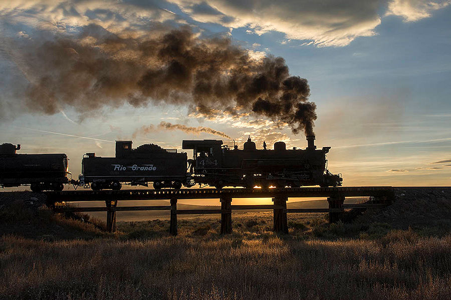 USA Cumbres & Toltec Tanago