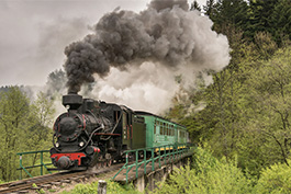 Tanago Polen Cisna Kp4 Schmalspur Eisenbahnreisen