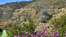 eritrea-2018-tanago-erlebnisreisen-eisenbahnreisen-railfan-tours-photo_charter-12.jpg
