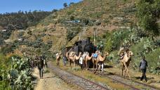 eritrea-2018-tanago-erlebnisreisen-eisenbahnreisen-railfan-tours-photo_charter-13.jpg