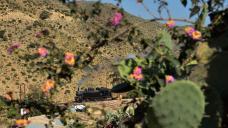 eritrea-2018-tanago-erlebnisreisen-eisenbahnreisen-railfan-tours-photo_charter-38.jpg