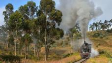 eritrea-2018-tanago-erlebnisreisen-eisenbahnreisen-railfan-tours-photo_charter-43.jpg