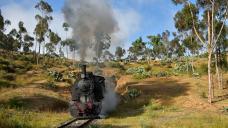 eritrea-2018-tanago-erlebnisreisen-eisenbahnreisen-railfan-tours-photo_charter-44.jpg
