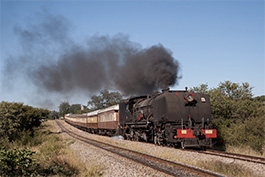 Bildergalerien Afrikareisen - Zimbabwe 2016 Tanago Eisenbahnreisen und Fotoreisen