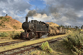 Eritrea 2018 Tanago Eisenbahnreisen / Railfan Tours