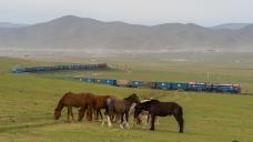 mongolei-2019-tanago-eisenbahnreisen-railfan-tours-65.jpg