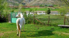 tanago-bulgarien-erlebnisreisen-eisenbahnreisen-09.jpg