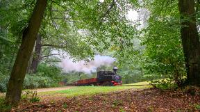 bad-muskau-tanago-eisenbahnreisen-railfan-tours-384.jpg