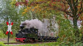 bad-muskau-tanago-eisenbahnreisen-railfan-tours-396.jpg