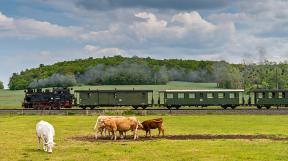 Loessnitz-tanago-railfan-tours-eisenbahnreisen-14.jpg