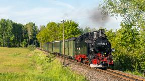 Loessnitz-tanago-railfan-tours-eisenbahnreisen-23.jpg