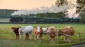 Loessnitz-tanago-railfan-tours-eisenbahnreisen-74.jpg