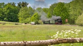 Loessnitz-tanago-railfan-tours-eisenbahnreisen-76.jpg