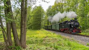 Loessnitz-tanago-railfan-tours-eisenbahnreisen-77.jpg