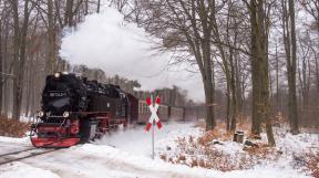 Harz-48.jpg