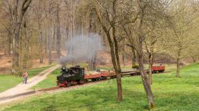 bad-muskau-2018-tanago-erlebnisreisen-eisenbahnreisen-railfan-tours-photo_charter-13.jpg