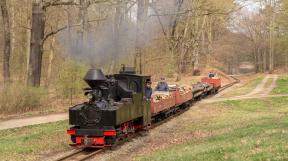 bad-muskau-2018-tanago-erlebnisreisen-eisenbahnreisen-railfan-tours-photo_charter-14.jpg