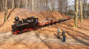 bad-muskau-2018-tanago-erlebnisreisen-eisenbahnreisen-railfan-tours-photo_charter-16.jpg