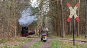 bad-muskau-2018-tanago-erlebnisreisen-eisenbahnreisen-railfan-tours-photo_charter-19.jpg