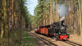 bad-muskau-2018-tanago-erlebnisreisen-eisenbahnreisen-railfan-tours-photo_charter-22.jpg