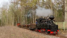 bad-muskau-2018-tanago-erlebnisreisen-eisenbahnreisen-railfan-tours-photo_charter-36.jpg