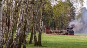 bad-muskau-2018-tanago-erlebnisreisen-eisenbahnreisen-railfan-tours-photo_charter-37.jpg