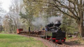 bad-muskau-2018-tanago-erlebnisreisen-eisenbahnreisen-railfan-tours-photo_charter-38.jpg