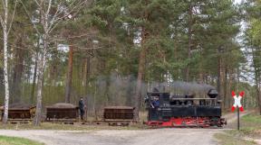 bad-muskau-2018-tanago-erlebnisreisen-eisenbahnreisen-railfan-tours-photo_charter-39.jpg