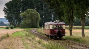 Schweineschnaeuzchen-27.jpg