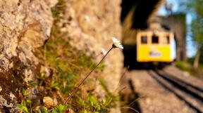 wendelstein-tanago-railfan-tours-eisenbahnreisen-18.jpg