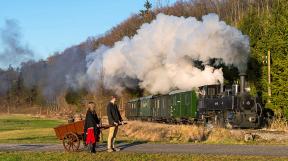 steyrtal-2020-tanago-railfan-tours-eisenbahnreisen-86.jpg