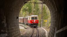 fruehsommer-mariazellerbahn-tanago-erlebnisreisen-railfan-tours-19.jpg