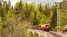 fruehsommer-mariazellerbahn-tanago-erlebnisreisen-railfan-tours-20.jpg