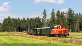 waldviertler-schmalspurbahn-2018-tanago-erlebnisreisen-eisenbahnreisen-railfan-tours-photo_charter-19.jpg