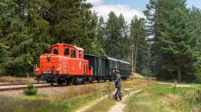 waldviertler-schmalspurbahn-2018-tanago-erlebnisreisen-eisenbahnreisen-railfan-tours-photo_charter-21.jpg