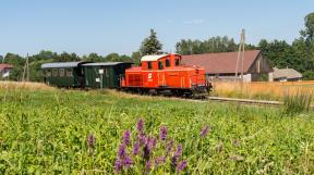 waldviertler-schmalspurbahn-2018-tanago-erlebnisreisen-eisenbahnreisen-railfan-tours-photo_charter-24.jpg