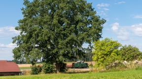 waldviertler-schmalspurbahn-2018-tanago-erlebnisreisen-eisenbahnreisen-railfan-tours-photo_charter-33.jpg