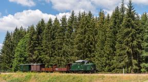 waldviertler-schmalspurbahn-2018-tanago-erlebnisreisen-eisenbahnreisen-railfan-tours-photo_charter-40.jpg