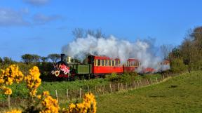 1-UK_IOM_WOOD_Port-Erin_2017-04-24_002.jpg