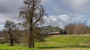 england-2019-tanago-erlebnisreisen-eisenbahnreisen-railfan-tours-photo_charter-31.jpg