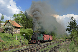 Tanago Railfan Tours / Eisenbahnreisen Erlebnisreisen