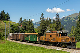 Schweiz: Krokodilsommer, September 2021, Tanago Railfan Tours / Eisenbahnreisen Erlebnisreisen