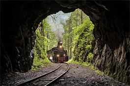 Tanago Railfan Tours / Eisenbahnreisen Erlebnisreisen