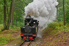 Brigadeloktreffen auf der Muskauer Waldeisenbahn, September 2019, Tanago Railfan Tours / Eisenbahnreisen Erlebnisreisen