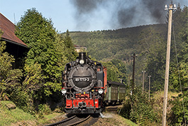 Fichtelbergbahn: auf den Spuren des GmP 69961, September 2019, Tanago Railfan Tours / Eisenbahnreisen Erlebnisreisen