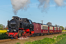 Frühlingsdampf an der Ostsee, Mai 2019, Tanago Railfan Tours / Eisenbahnreisen Erlebnisreisen