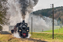 Österreich: Steyrtal Januar 2020, Tanago Railfan Tours / Eisenbahnreisen Erlebnisreisen