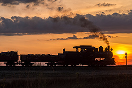 Bad Muskau März 2018 Tanago Eisenbahnreisen / Railfan Tours